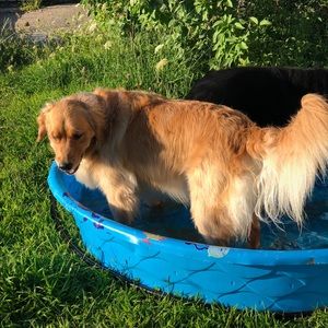 Meet your Posher, Haley